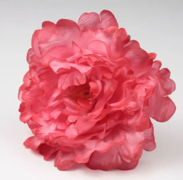 Pivoine Feria. Fleurs de Flamenco. Corail. 11cm