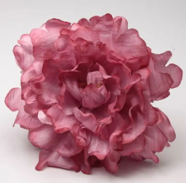 Peony Feria. Flamenco flowers. Strawberry. 11cm