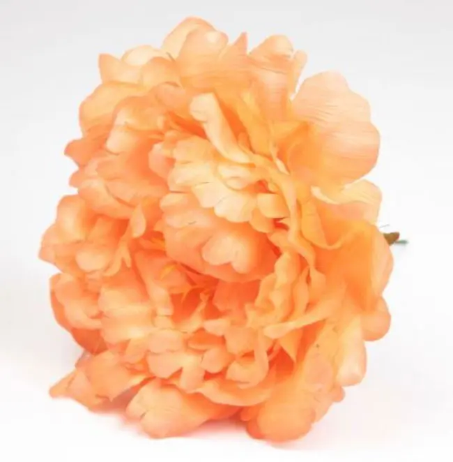 Pivoine Feria. Fleurs de Flamenco. Orange. 11cm