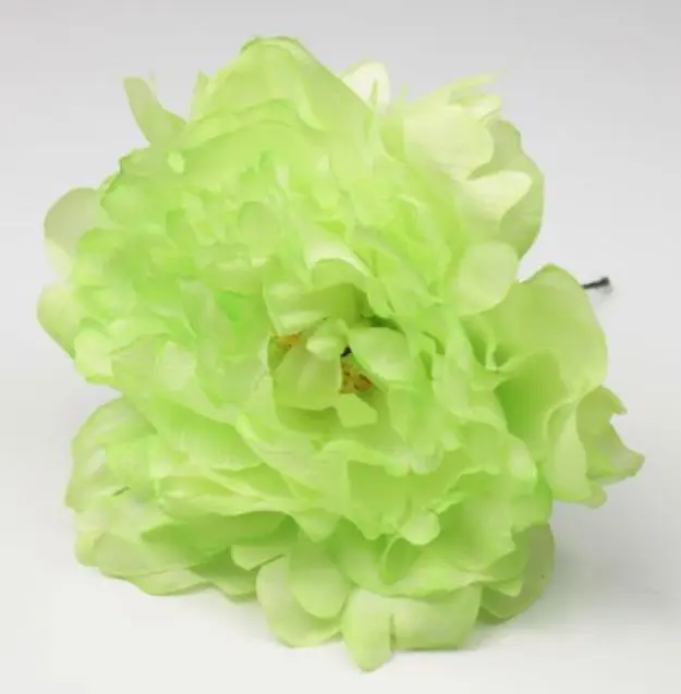 Pivoine Feria. Fleurs de Flamenco. Vert Pistache VR80. 11cm
