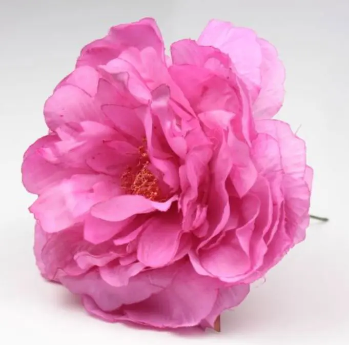 Peonia Sanlucar Fleurs flamenco. 12cm. Fuchsia