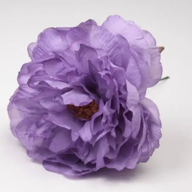 Peonia Sanlucar Fleurs flamenco. 12cm. Violet 