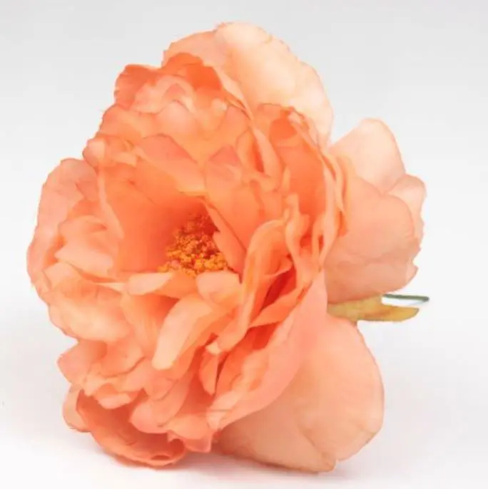 Peonia Sanlucar Fleurs flamenco. 12cm. Orange