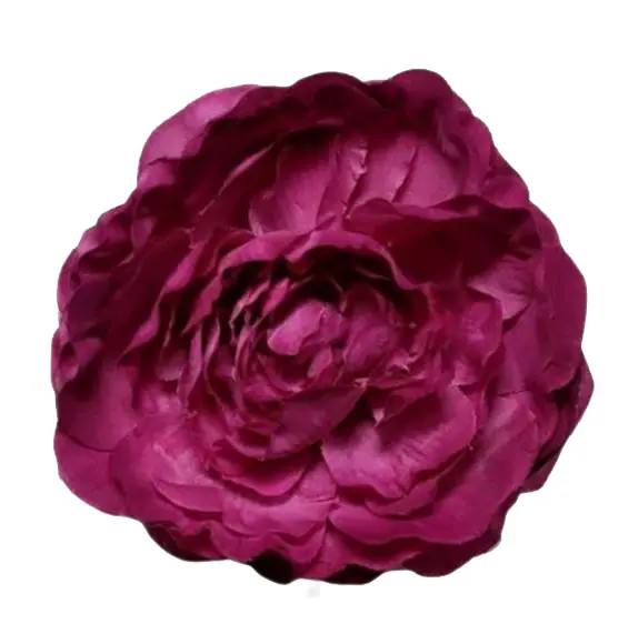 Flamenco Ranunculus flower Malaga. Bougainvillea MR36. 9cm