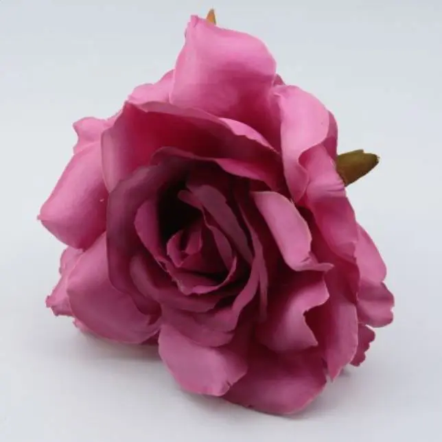 Small Rose Cadiz. 10cm. Bougainvillea 06