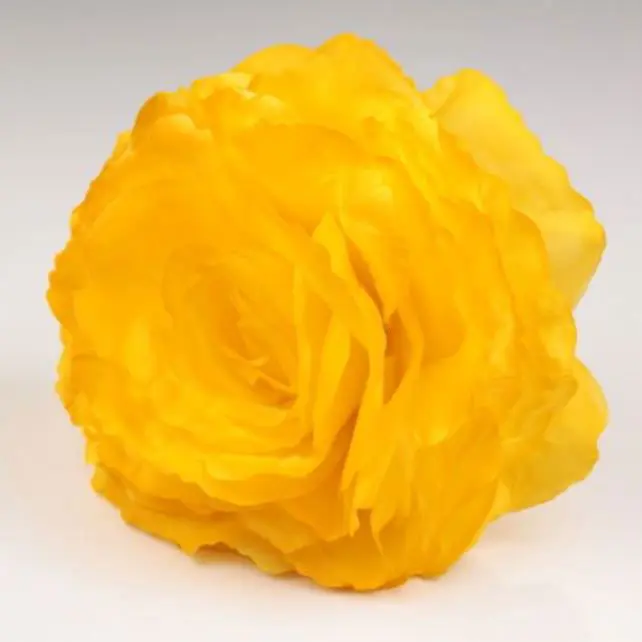 Grande Rose King. Fleur de Flamenco Jaune. 17cm