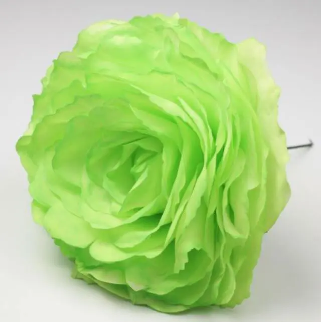 ローザ・グランデ・キング。ピスタチオグリーンのフラメンコの花。17cm