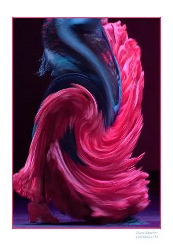 The photografic prints of Flamenco 01