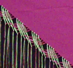 Detail image