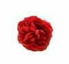 Fleur Flamenca en Rouge Evora. 9.5cm