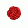 Red Flamenca Flower Faro. 9.5cm