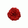 Fleur de Flamenca en Rouge Modèle Sintra. 8cm