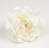 Flores de Flamenca. Peonía Clásica Blanca. 12cm