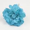 Zinnia. Flemish flower. Turquoise. 9cm