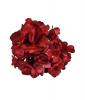 Bouquet de velours teinté. 14cm. Rouge