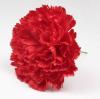 Flamenco Artificial Carnations. Sevilla Model. Red