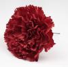 Flamenco Artificial Carnations. Sevilla Model. Red Beauty