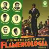 Flamenco sing anthology. Flamencology. Vol 7