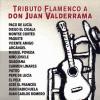 tributo flamenco a don juan valderrama