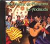 CD　Una Noche de Flamenco en Andalucia