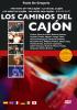 Los caminos del cajón por Paolo De Gregorio. DVD (The Ways of the Cajon)