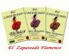 Colección Didáctica de Zapateado Flamenco
