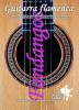 Manuel Salado: Flamenco Guitar . Vol 5 Fandangos. Dvd+Cd