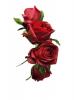 Bandeau de boutons de roses rouges Coiffure