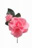Flamenco Flower mod. Baby Rose (Silk). 10cmX7cm
