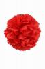 Red Giant Carnation. 16cm