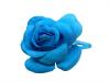 Flamenco Flower for Girls. Turquoise Ranita