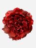 Flamenco Flower Peony in Red Shades. 16cm