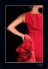 The photografic prints of Flamenco 03