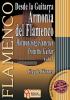 楽譜教材 MIDI付き　Desde la Guitarra.Armonia del Flamenco Vol. 3.　Claude Worms